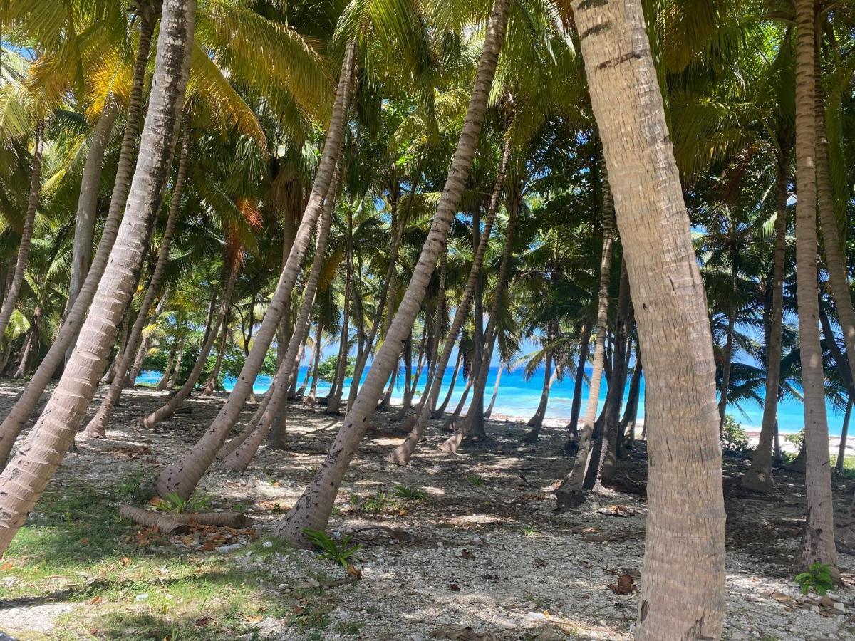 Beachfront Apartment, Quiet 4 Beds, 1 Bath, Ac, Wi-Fi, Hot Water, In Paraiso Near Los Patos Esterno foto