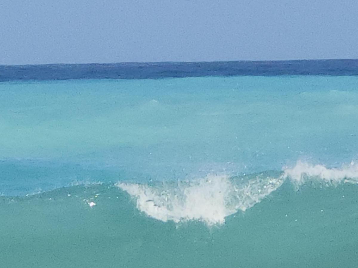 Beachfront Apartment, Quiet 4 Beds, 1 Bath, Ac, Wi-Fi, Hot Water, In Paraiso Near Los Patos Esterno foto