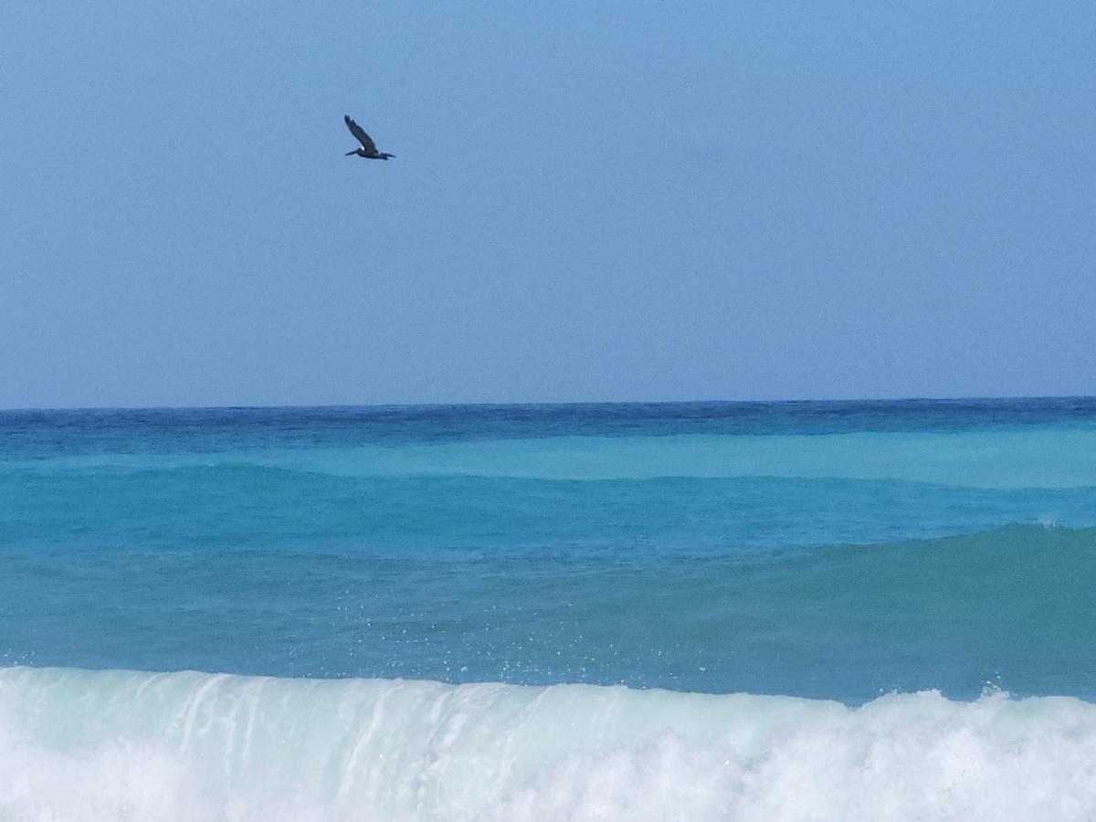 Beachfront Apartment, Quiet 4 Beds, 1 Bath, Ac, Wi-Fi, Hot Water, In Paraiso Near Los Patos Esterno foto